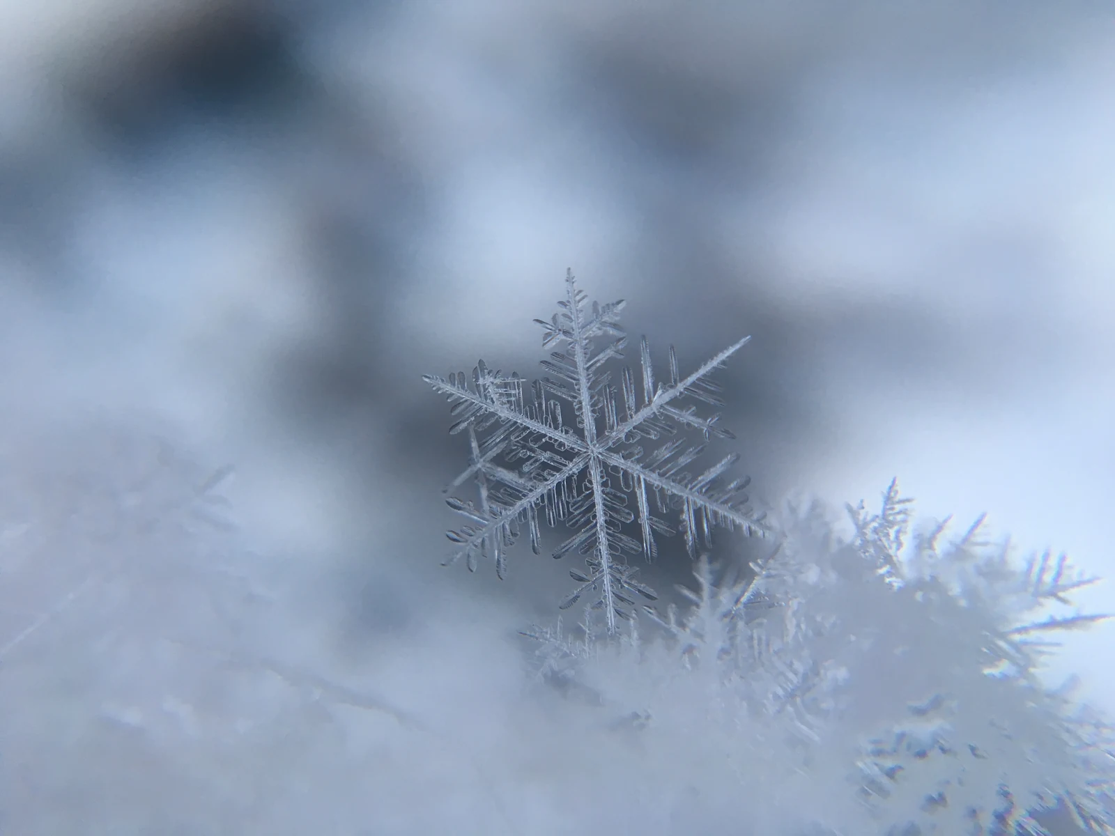 冰晶雪花