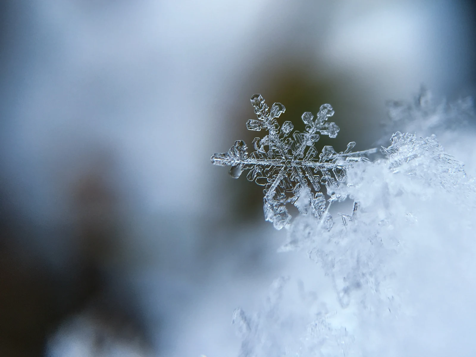 雪花特写